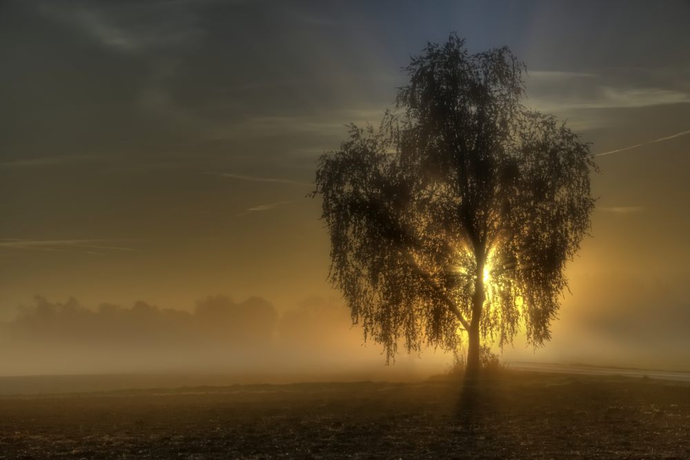 3. Platz Franz Müller